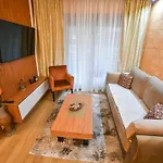 Apartman Central Lux U Vili Pekovic Green