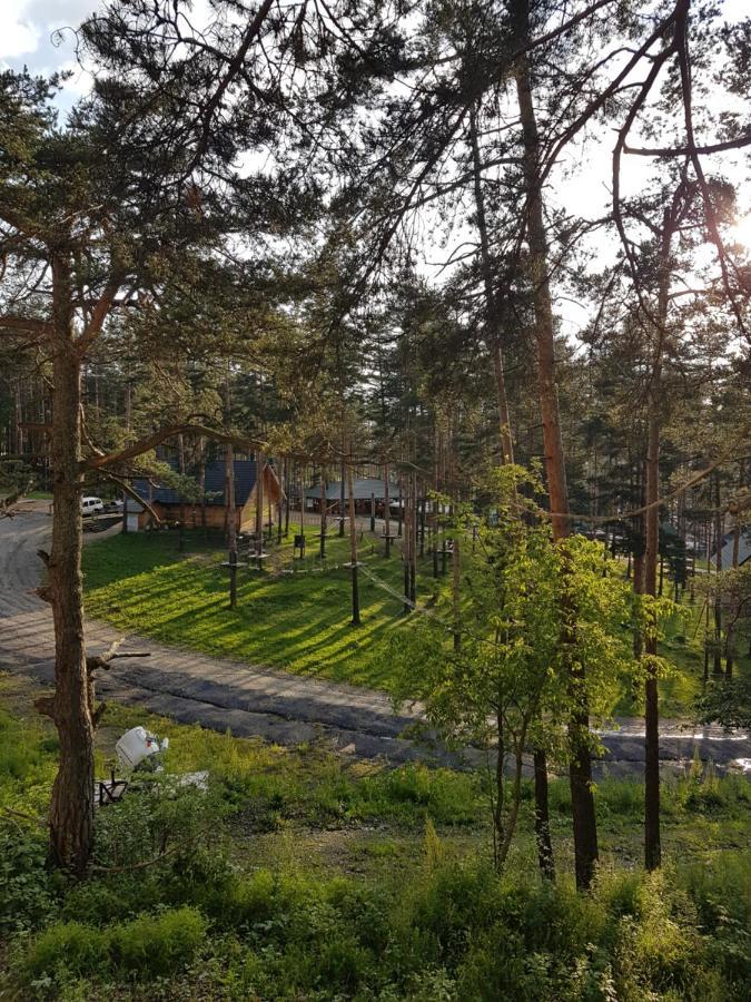 Apartment Lux U Pekovic Zlatibor